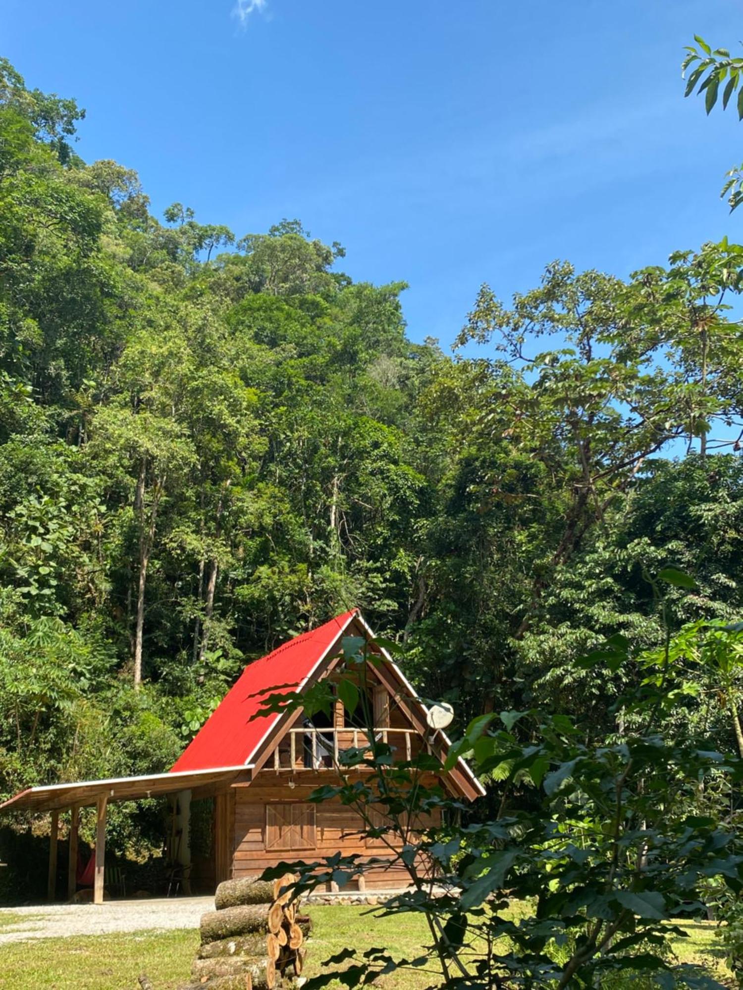 Chale Em Meio A Natureza! Guabiruba Exterior foto